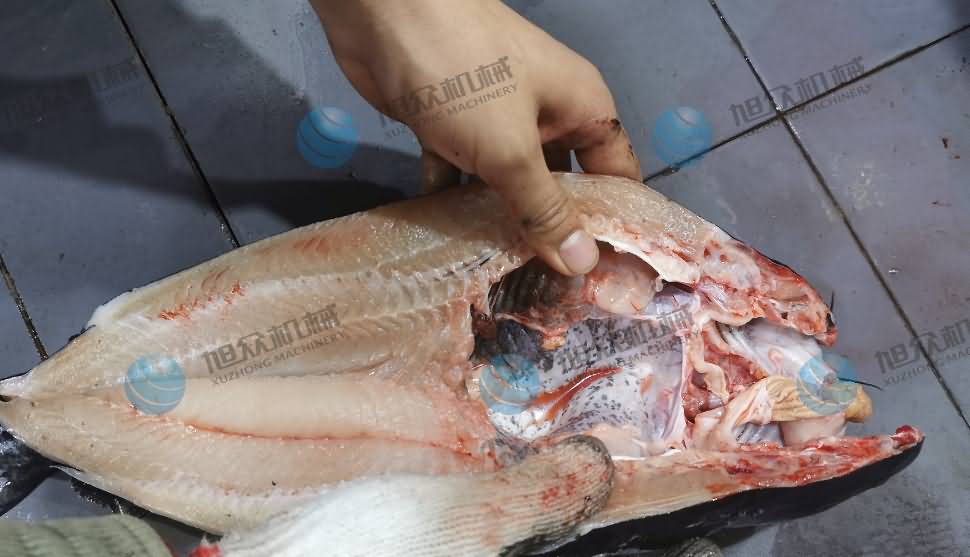 殺魚機，商用殺魚機，全自動殺魚機，旭眾殺魚機，殺魚機哪家好