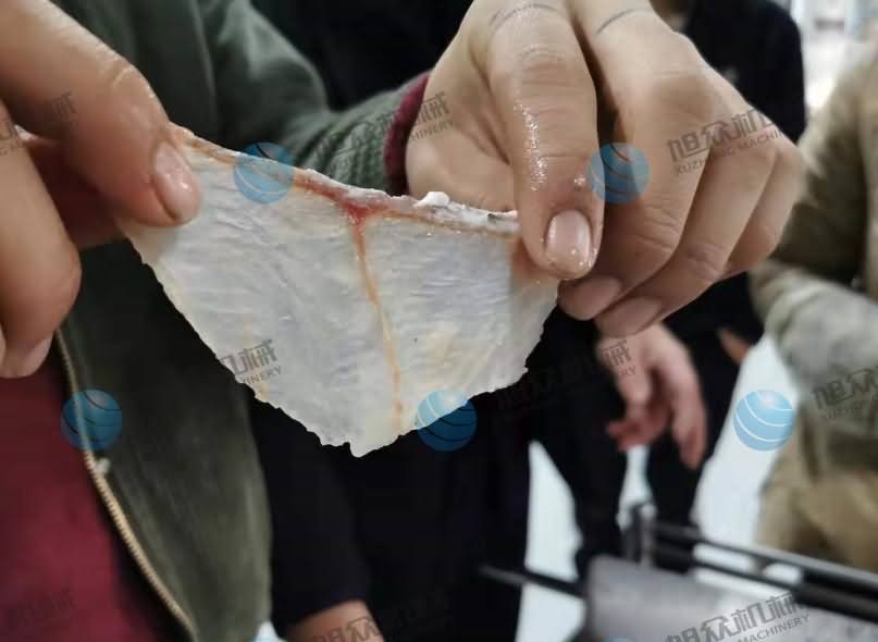 魚片機(jī)，片魚片機(jī)，片魚機(jī)，斜切魚片機(jī)，全自動魚片機(jī)