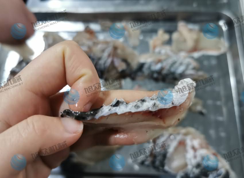 魚片機(jī)，片魚片機(jī)，片魚機(jī)，斜切魚片機(jī)，全自動魚片機(jī)