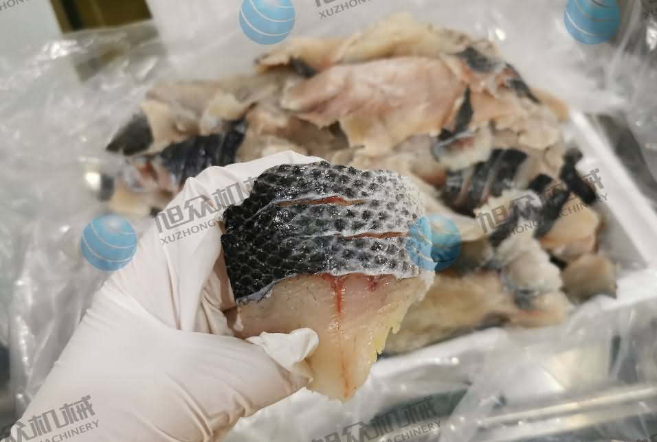 魚片機(jī)，片魚片機(jī)，全自動(dòng)魚片機(jī)，商用片魚片機(jī)器，切魚片機(jī)