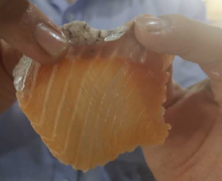 魚(yú)片機(jī)，自動(dòng)切魚(yú)片機(jī)，旭眾魚(yú)片機(jī)，多功能切魚(yú)片機(jī)，魚(yú)片機(jī)多少錢