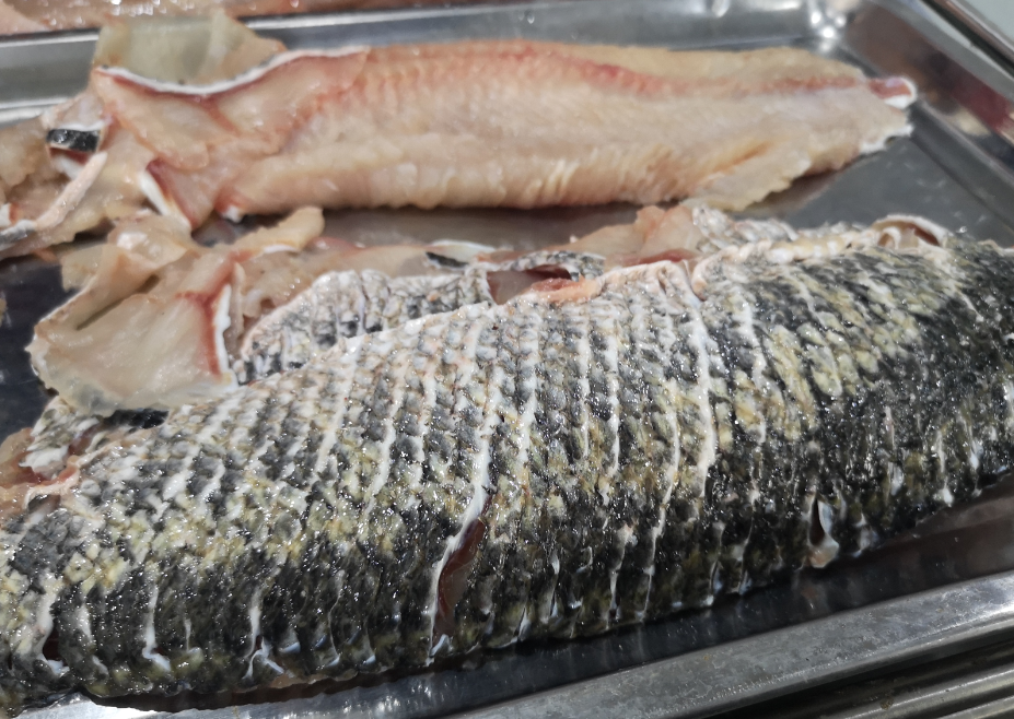 切魚(yú)片機(jī)，自動(dòng)切魚(yú)片機(jī)，片魚(yú)片機(jī)器，魚(yú)片機(jī)廠家，切魚(yú)片機(jī)多少錢(qián)